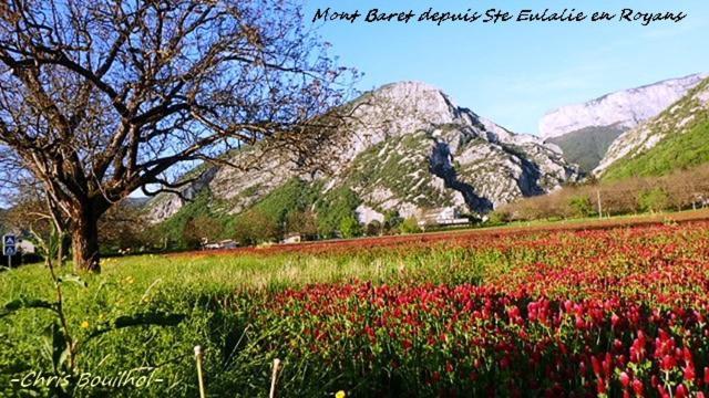 Апартаменти Bryan Сен-Жан-ан-Руаян Екстер'єр фото
